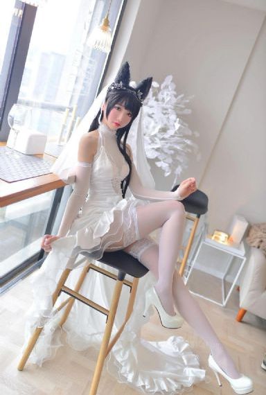 91视频库app_视频全集