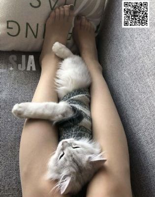 欧美粗暴视频_1080韩国电影在线观看